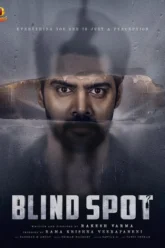 Blind Spot (2025) Movie Poster