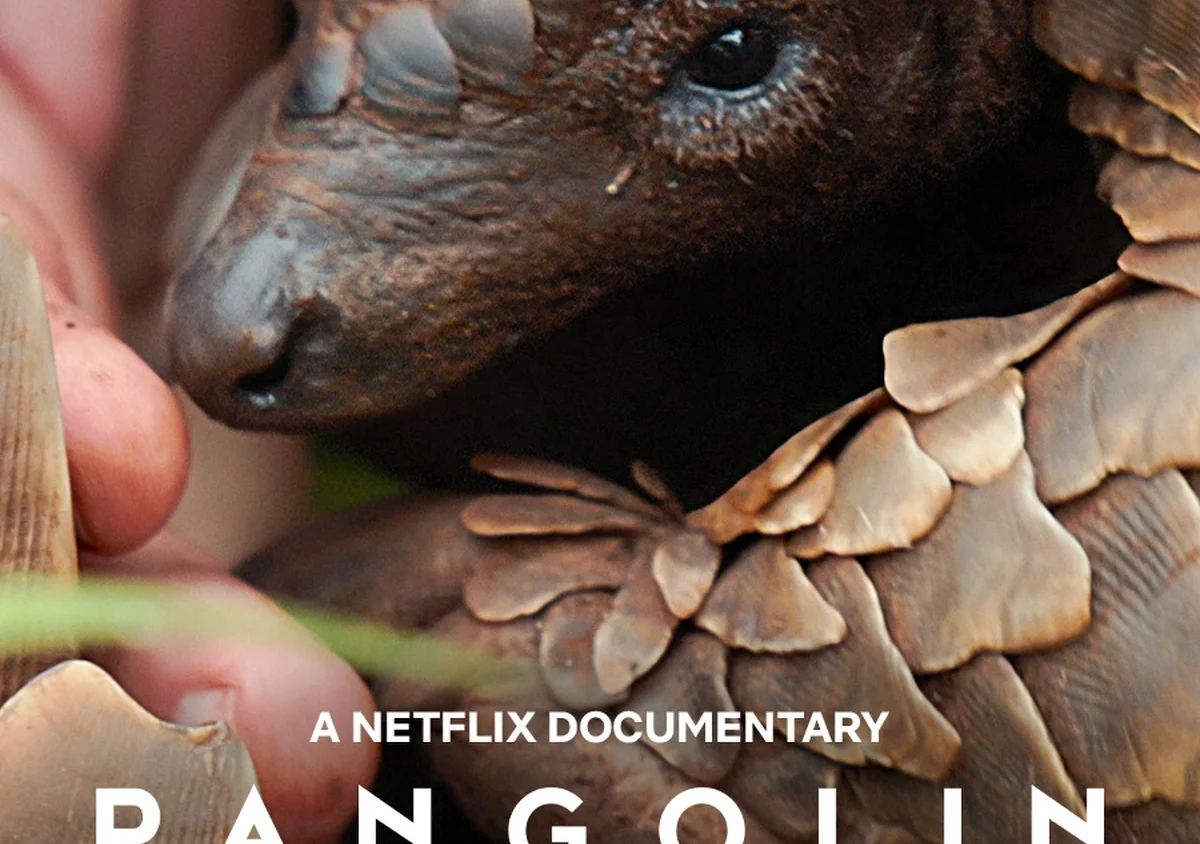 Pangolin Kulu’s Journey (2025) Movie Poster