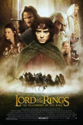 The Lord of the Rings The Fellowship of the Ring (2002) Movie Poster